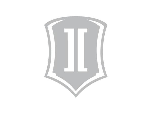 ICON Vehicle Dynamics - ICON Vehicle Dynamics 10 IN SHIELD SILVER STICKER-SHIELD 10 IN S