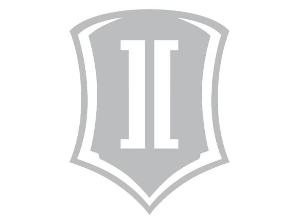 ICON Vehicle Dynamics - ICON Vehicle Dynamics 15 IN SHIELD SILVER STICKER-SHIELD 15 IN S